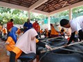 Tn DSC 6554